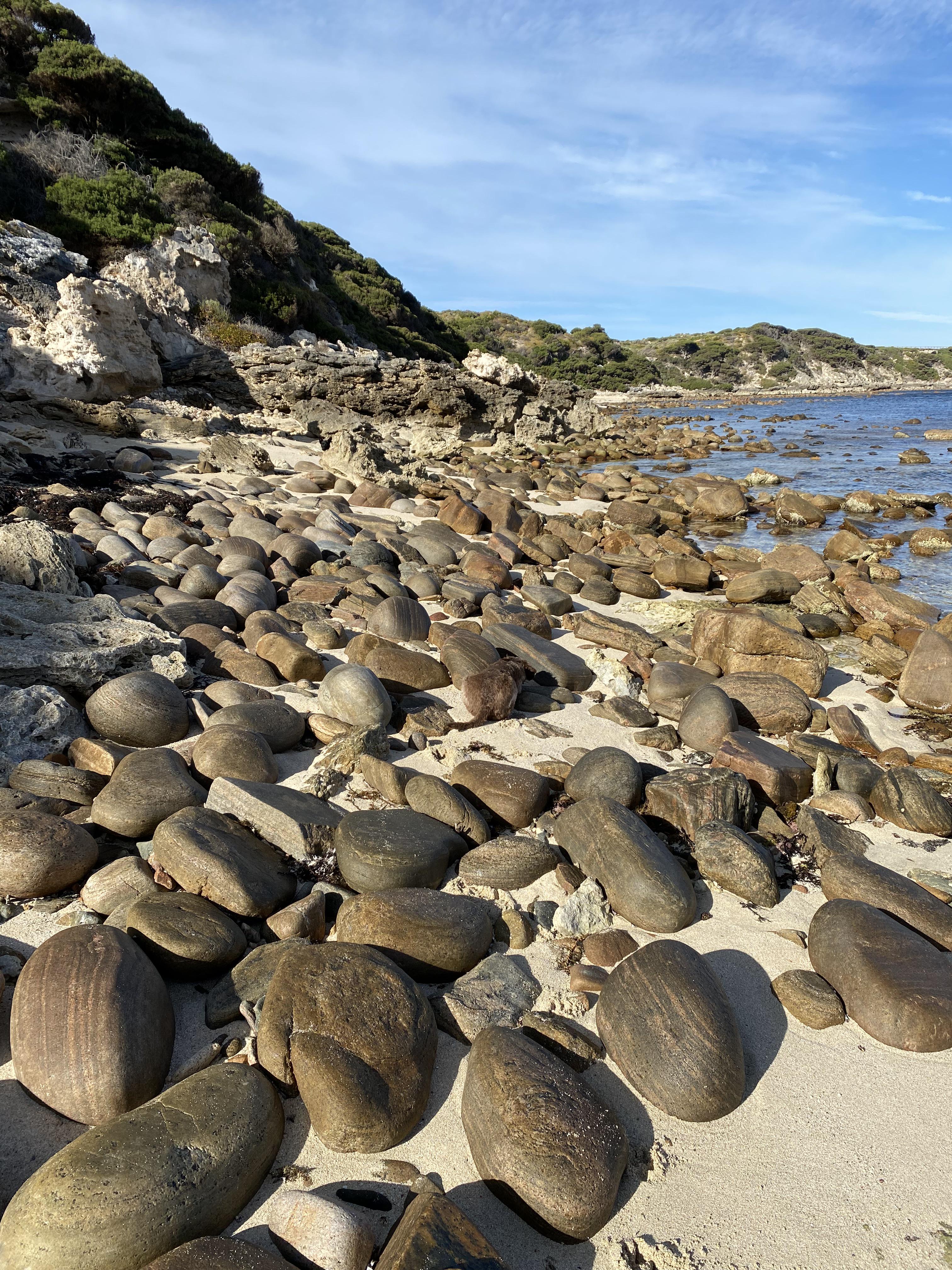 Puzzlers have been tasked with spotting two dogs hiding on the beach