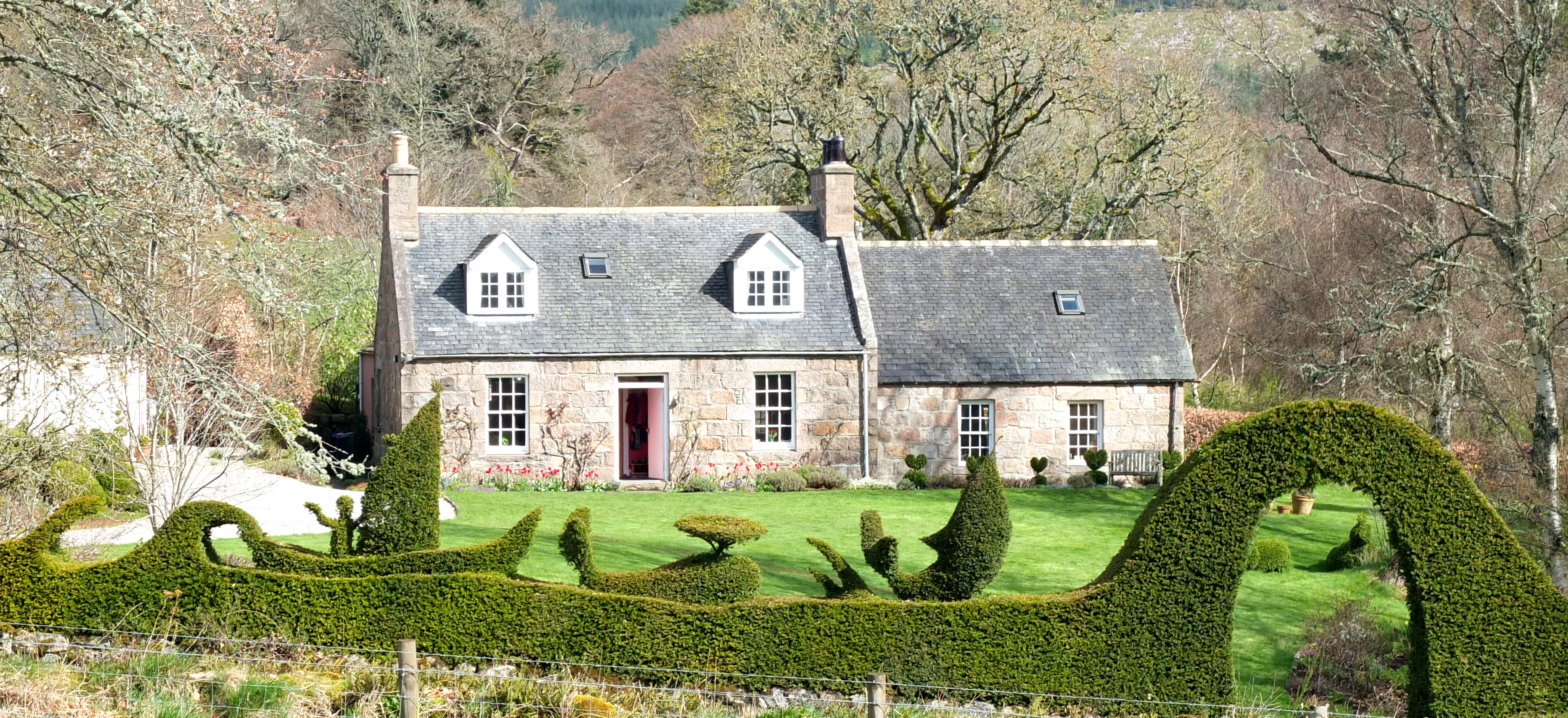 David's hedge art is often admired by people who walk past his house