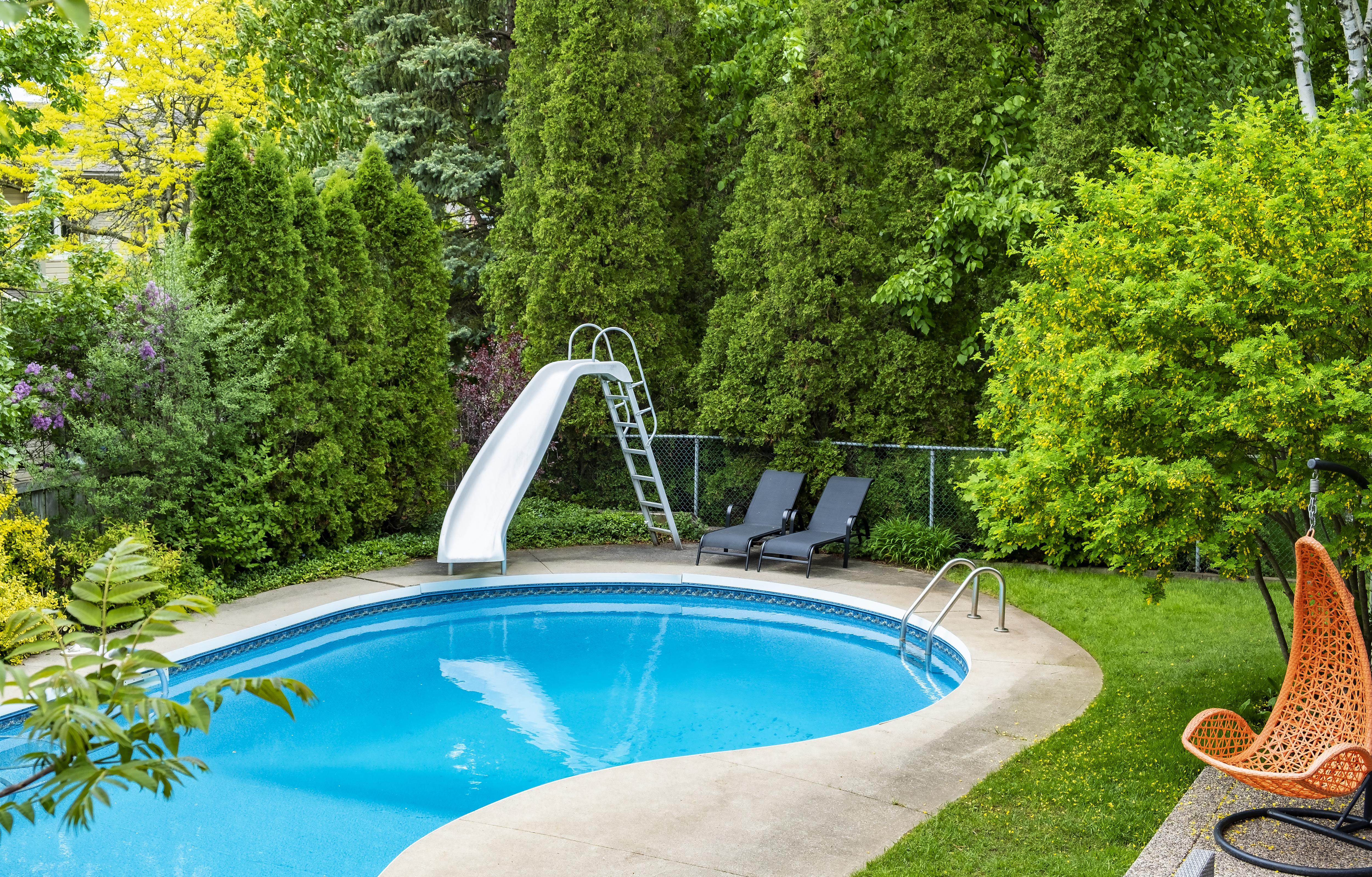 A pool owner shared a tip that helped him keep his waters free of pests (stock photo)