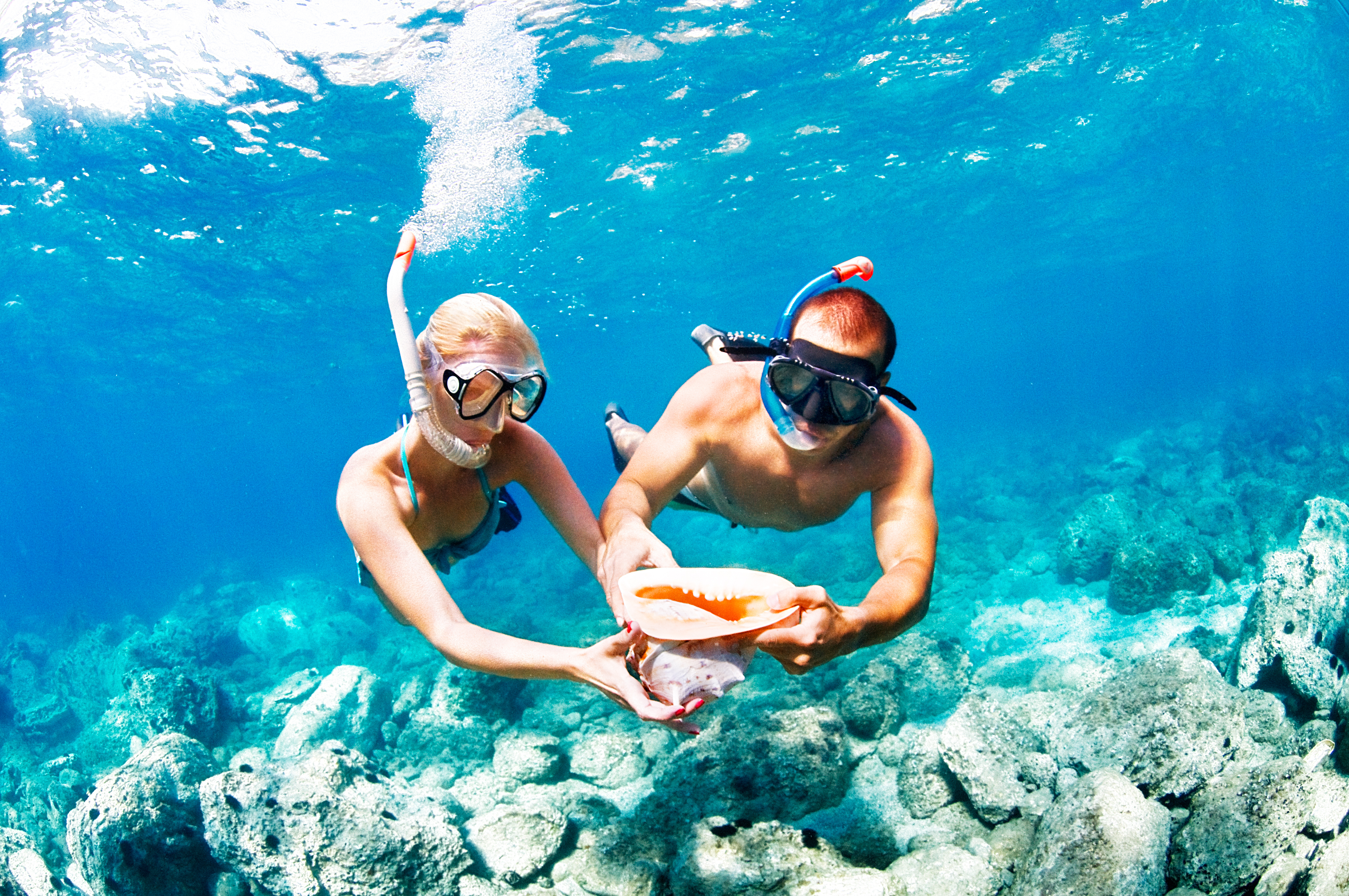 Male and female snorkelers play with mussels beneath the sea surface.