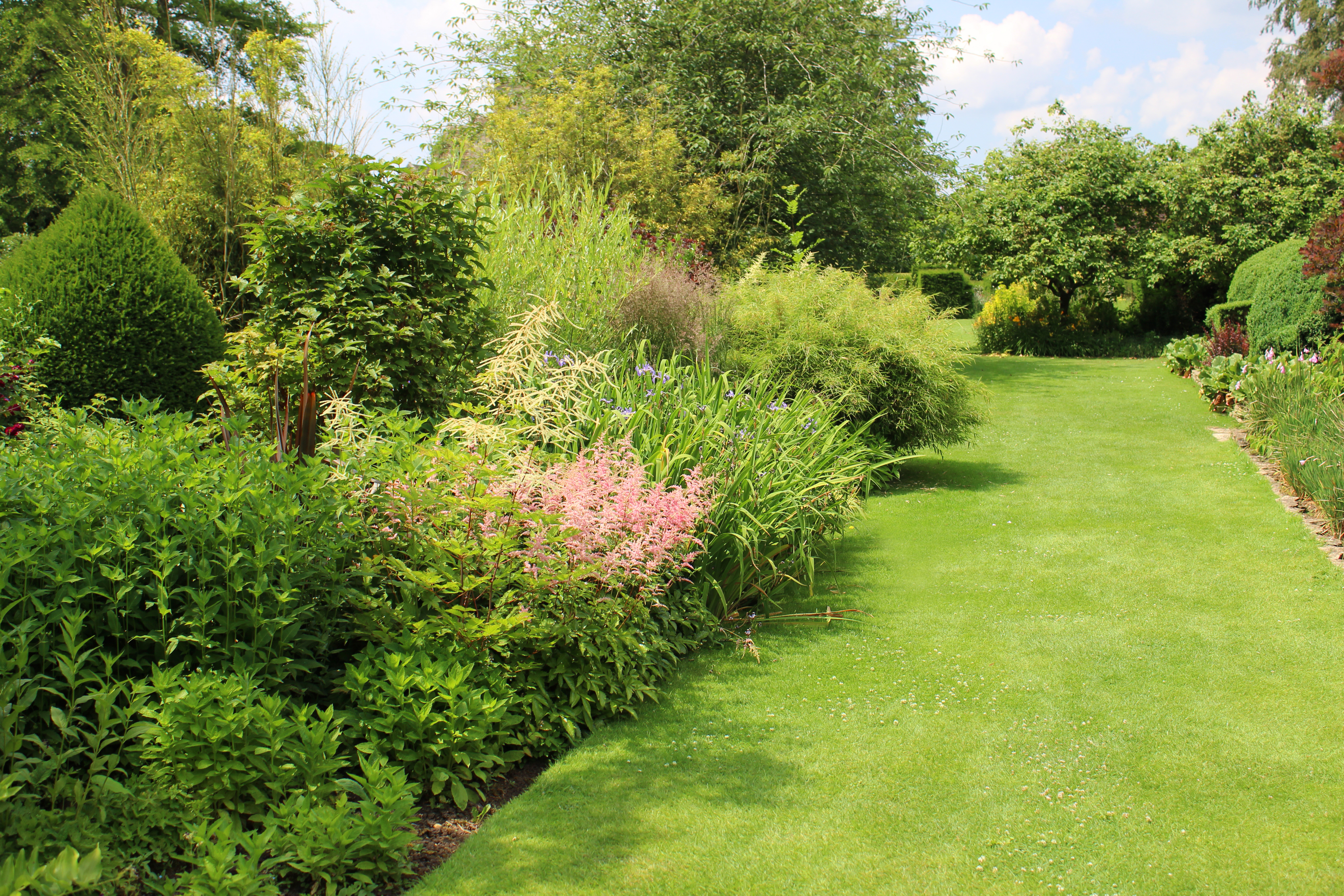 A gardening professional has revealed the common mistake many gardeners make that could actually be causing more weeds to grow in your lawn