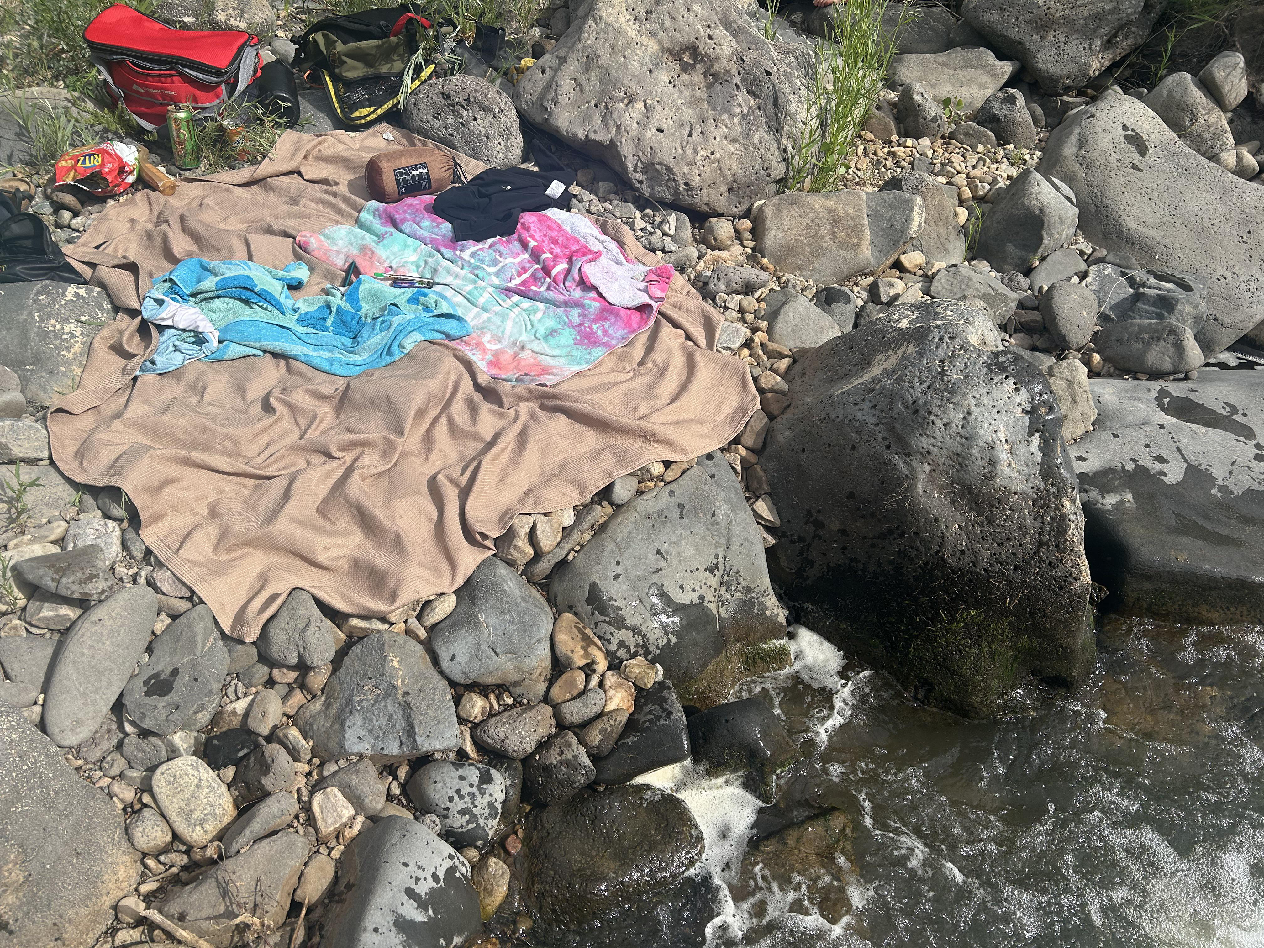 Can you spot the sneaky snake disrupting the picnic?