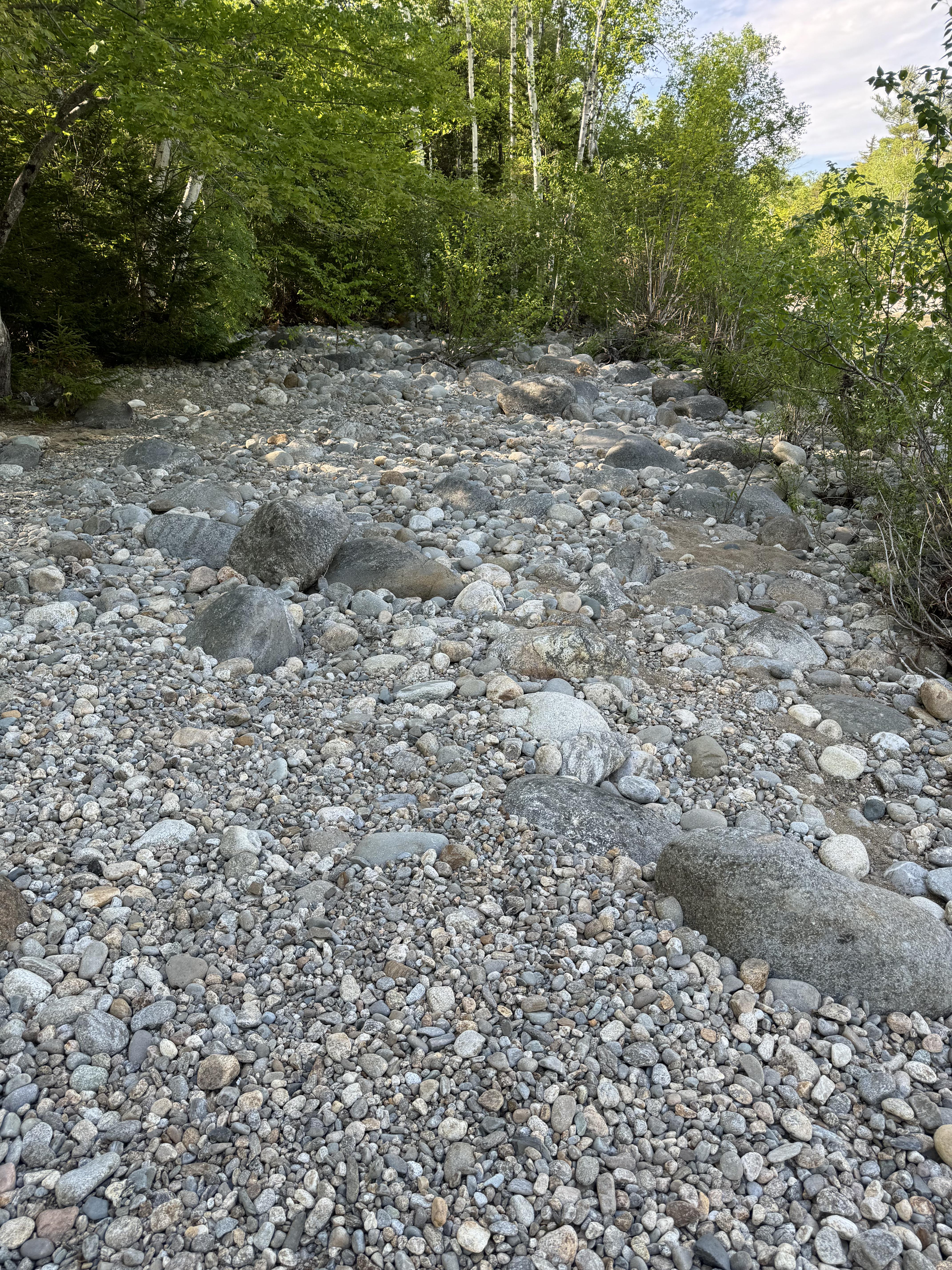 A pair of missing children's Crocs are hidden in the nature scene