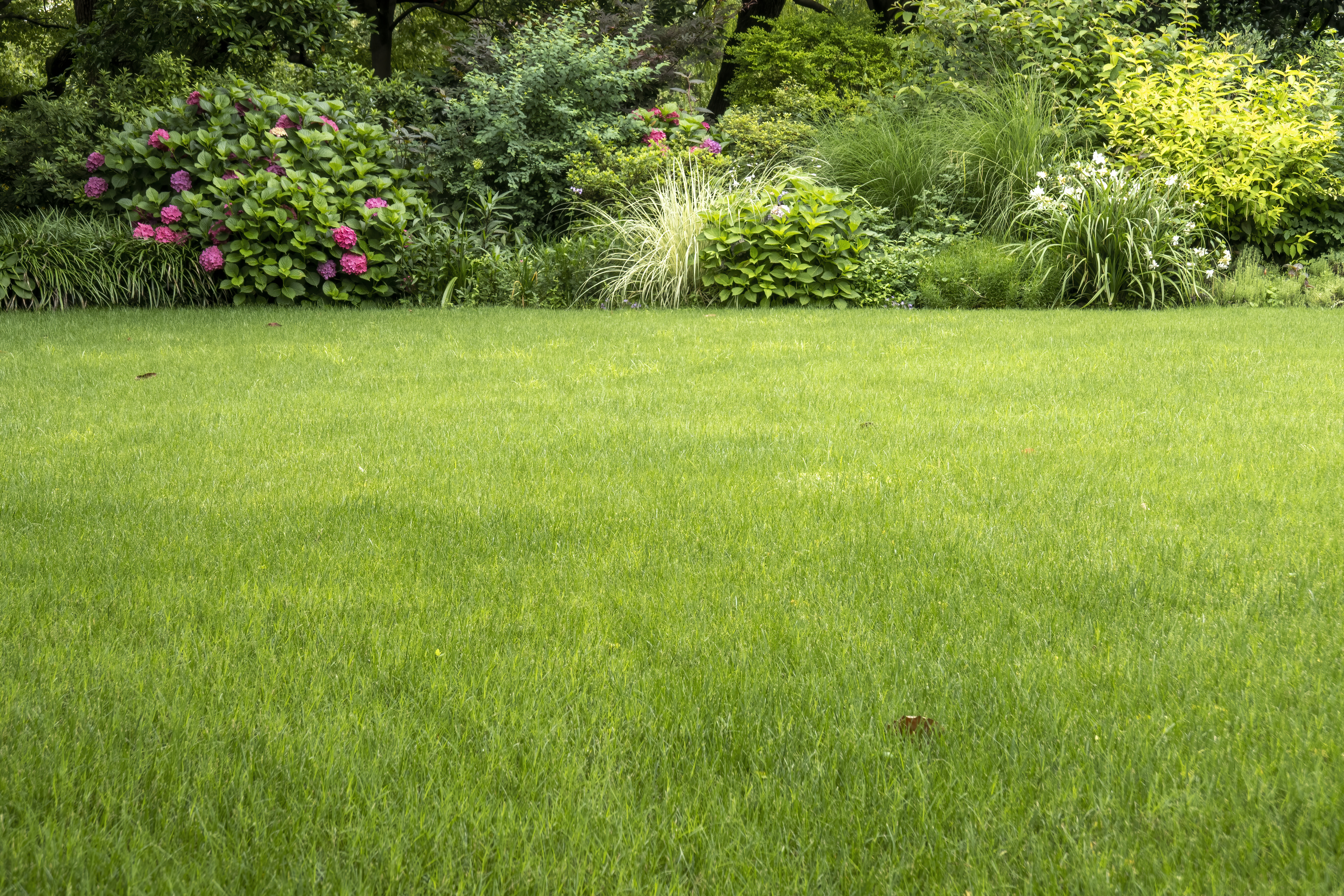 According to Facebook users, a simple garden fork is enough to remove dandelions and keep your lawn looking lush