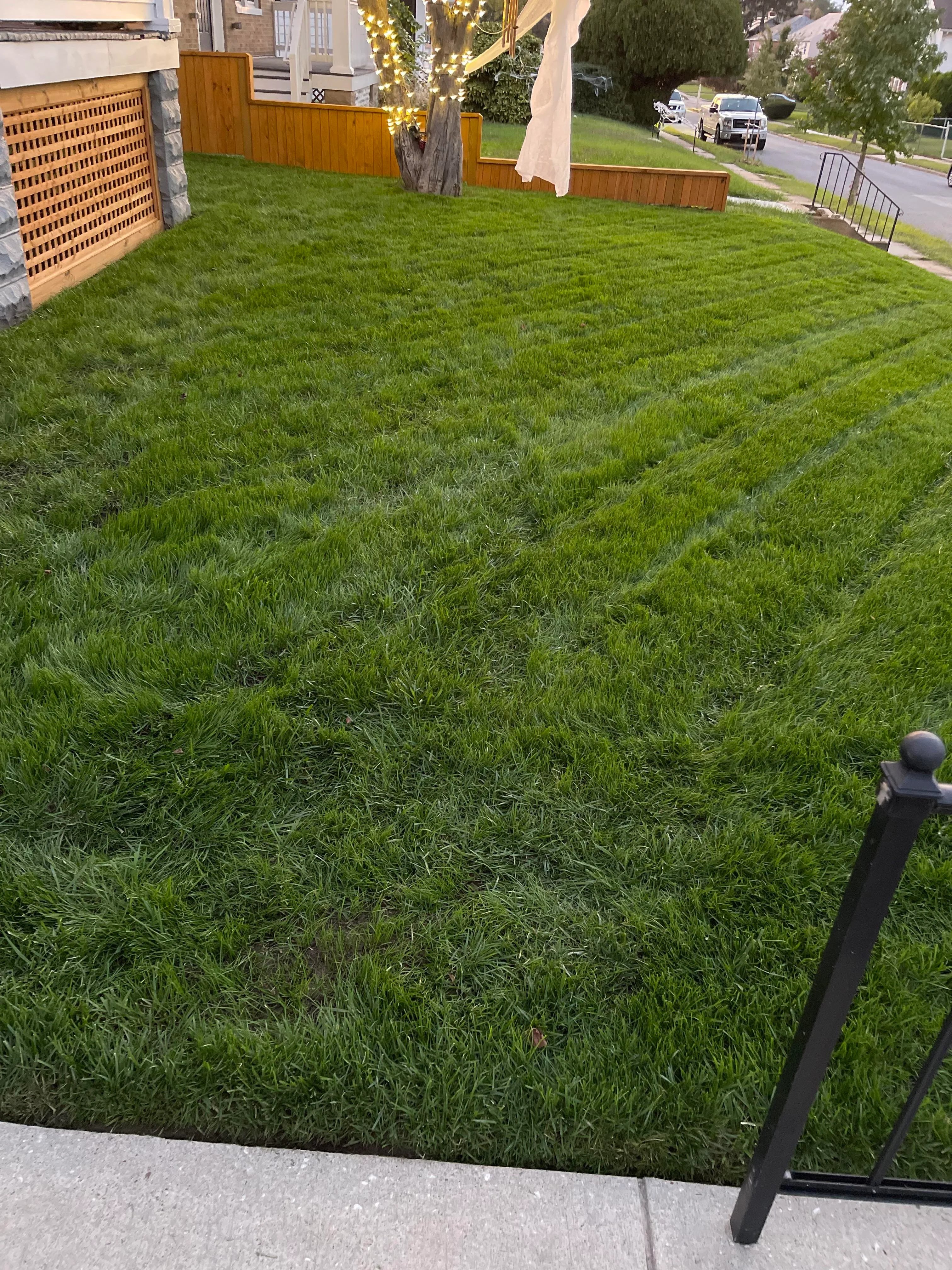 The homeowner explained that it took less than a month for her lawn to be transformed