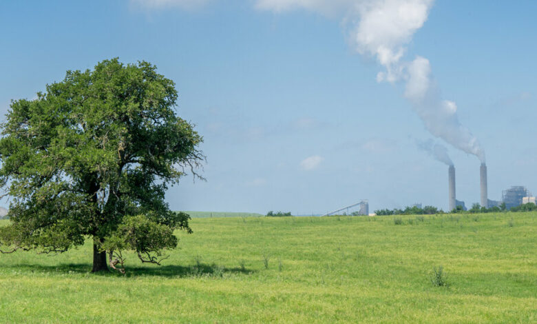 A series of Supreme Court decisions are hitting environmental regulations hard