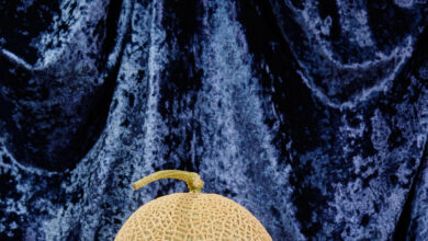 The World of Luxury Fruit: Does a 6 Cantaloupe Taste Sweeter?