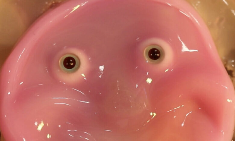 Scientists in Japan are giving robots a fleshy face and a smile