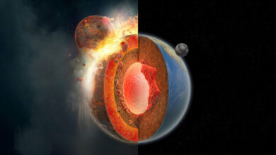 A large impact that the moon made may also have created continents that move