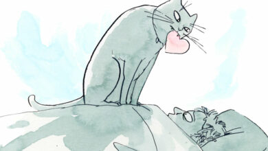 A feline scientist explains why your cat might like you