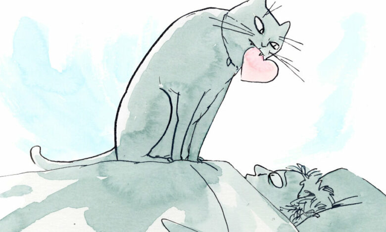 A feline scientist explains why your cat might like you