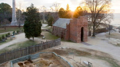 Famine forced Jamestown settlers to eat native dogs, DNA shows