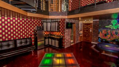 Pictured: The amazing hotel suite with a nightclub theme, featuring a hot tub, disco ball and a dance cage with a STRIPPER POLE