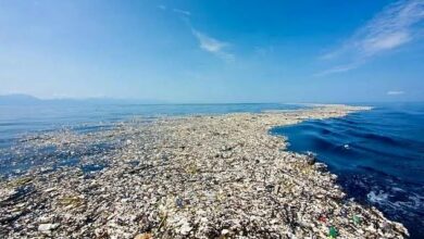 Shocking footage shows the world’s largest landfill as cleanup efforts intensify at a mold-ridden site twice the size of Texas