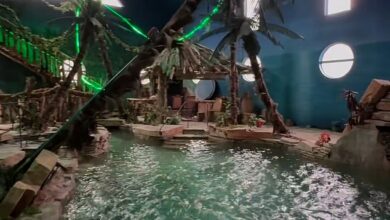 A couple have divided critics after installing an incredible water park in their home, complete with a pool, hot tub, palm trees and a WATERFALL… so would YOU want one?