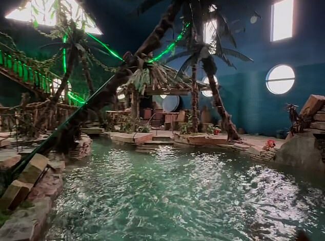 A couple have divided critics after installing an incredible water park in their home, complete with a pool, hot tub, palm trees and a WATERFALL… so would YOU want one?