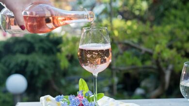 Is YOUR rosé too cold? Report claims pink wine should be taken out of the fridge half an hour before drinking, as cold temperatures mute fruity flavours