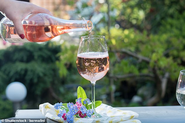 Is YOUR rosé too cold? Report claims pink wine should be taken out of the fridge half an hour before drinking, as cold temperatures mute fruity flavours