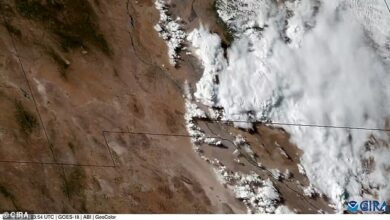 A gigantic dust storm more than 200 miles long is blowing across the US and is being observed from SPACE