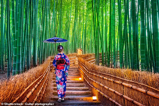 Japan at its most divine: these 10 heavenly gardens are sanctuaries of nature – and will soar your spirits