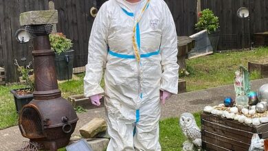 Woman forced to wear a HAZMAT suit in her own garden after a plague of rats invades her £400,000 home and chews through wires in neighbour’s car