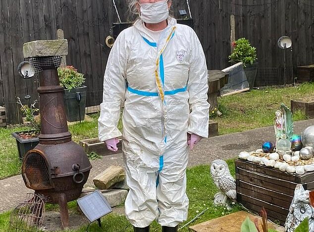 Woman forced to wear a HAZMAT suit in her own garden after a plague of rats invades her £400,000 home and chews through wires in neighbour’s car