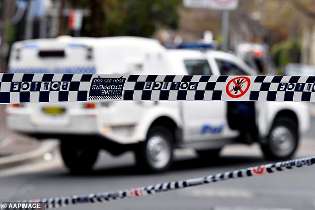 Wentworthville, Sydney: Four people have been rushed to hospital with suspected carbon monoxide poisoning after lighting a charcoal barbecue