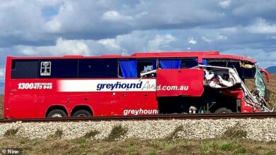 Bruce Highway Bus Crash: Tragic New Details Emerge