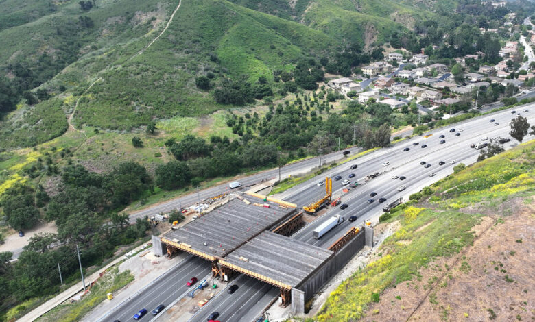 What You Need to Know About the World’s Largest Wildlife Crossing