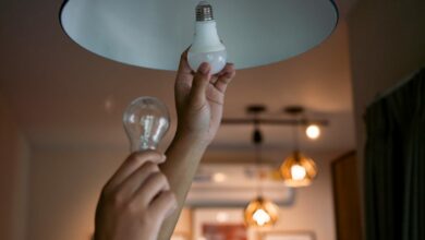 10 Quick and Easy Ways for Renters to Reduce Their Energy Bills