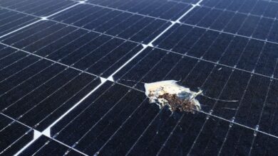 7 Tips to Avoid Getting Scammed When Buying Solar Panels