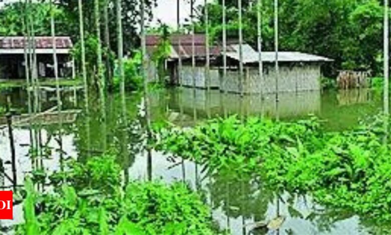 7 more dead in Assam floods, death toll rises to 79 | India News – Times of India