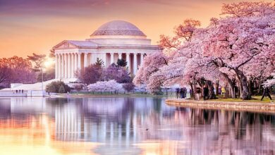 With all eyes on Washington and the race for the White House, NEIL DARBYSHIRE visits the US capital… and is impressed by its history and architectural grandeur