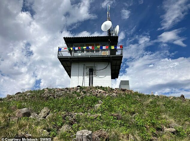 I live in a 14-by-14-foot lookout in the woods of New Mexico. My house is remote and has no running water. The nearest store is 35 miles away.