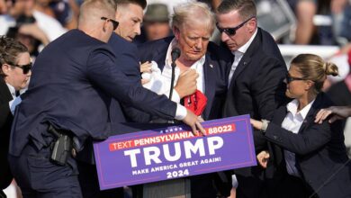 ‘Shooter is down’: Secret Service says Trump ‘safe’ after pumping his fist as he was taken off stage