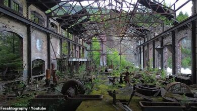 Inside Canada’s largest abandoned city, vacant since 1935