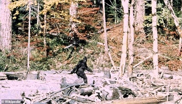 45-Year-Old Army Veteran Recounts Terrifying Encounter With ‘Bigfoot’ While Camping Along Deserted Forest Road… And The Terrifying Sounds The Creature Made