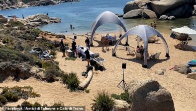 Instant karma for wealthy tourists as they get their just deserts for annoying locals by setting up two gazebos, a festival-sized barbecue and a volleyball court on Sardinia’s normally quiet beach