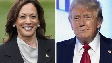 Donald Trump or Kamala Harris? Veteran prognosticator who has predicted every presidential election winner for 40 YEARS reveals which candidate is on track to win