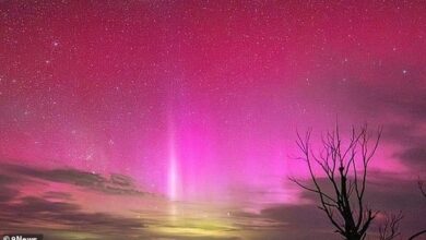 Australians prepare for rare weather event: ‘No idea how this will end’