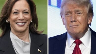 Election forecaster reveals big 2024 problem Kamala Harris is facing in the battle with Trump