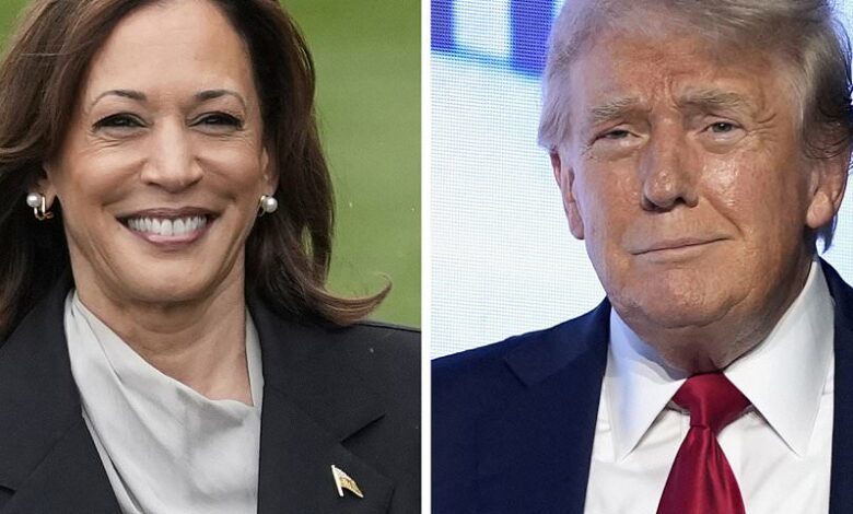 Election forecaster reveals big 2024 problem Kamala Harris is facing in the battle with Trump