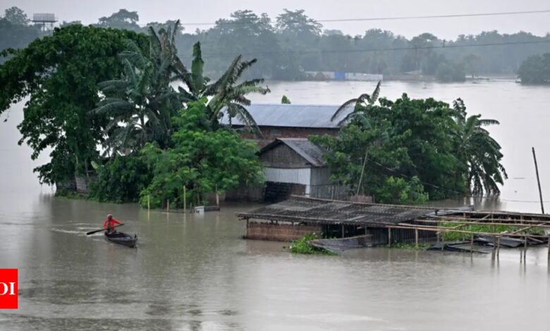 Assam floods: 23 lakh affected in 29 districts, water levels show signs of receding | India News – Times of India