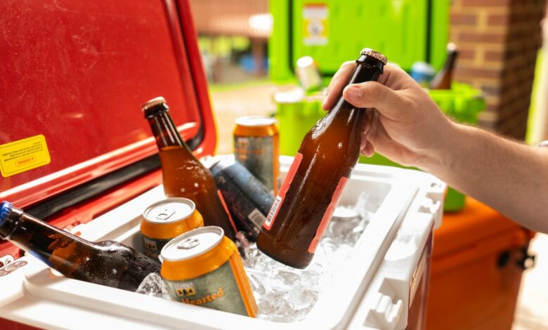 Best Coolers of 2024