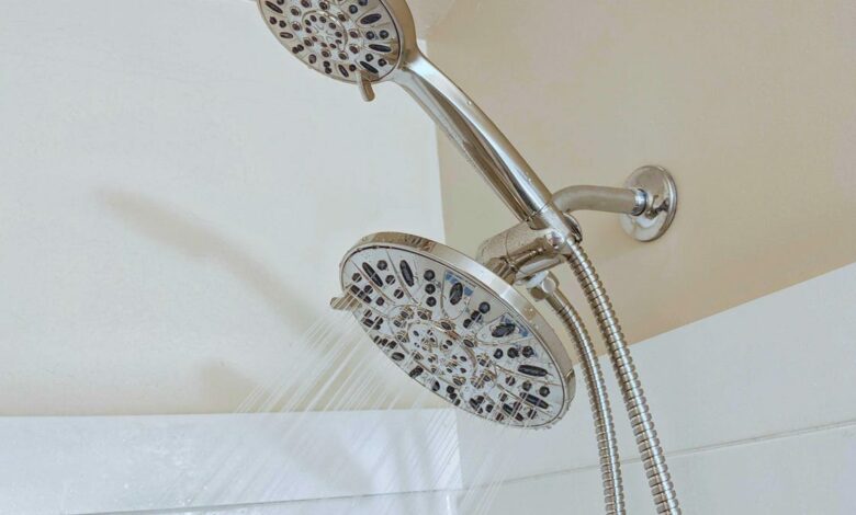 Best Shower Head for 2024