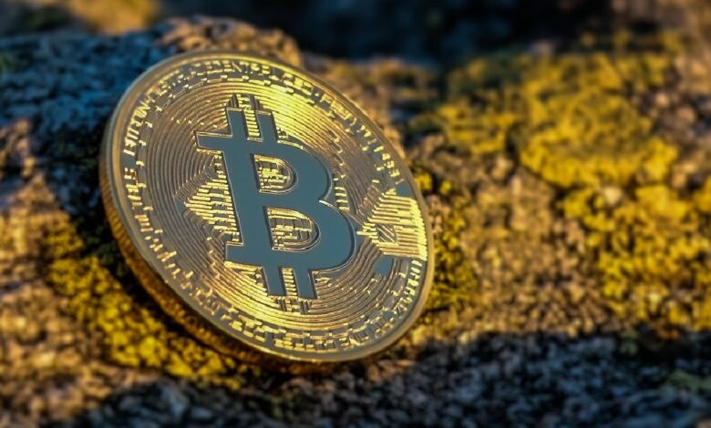 Bitcoin Price Sees Slight Rise, Altcoin Values ​​Plummet