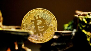 Bitcoin continues to suffer losses, most cryptocurrencies recover