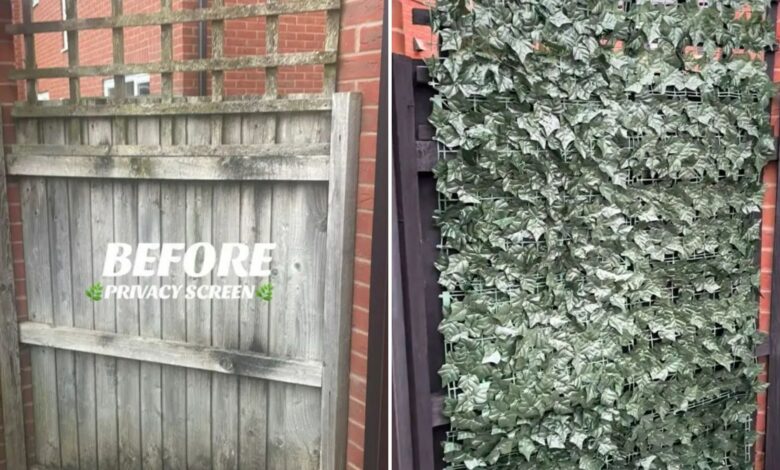 DIY enthusiast makes ivy leaf privacy fence for £13.99 to keep neighbours from looking