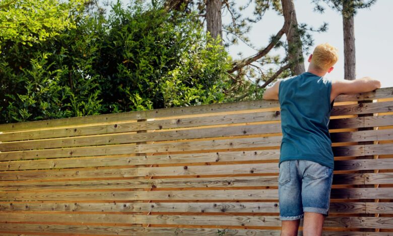 DIY expert warns why you should never pressure wash your fence