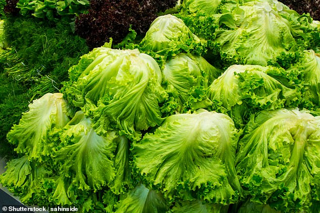 E. coli: 13 more confirmed cases of serious food poisoning linked to contaminated lettuce — but signs outbreak may be over